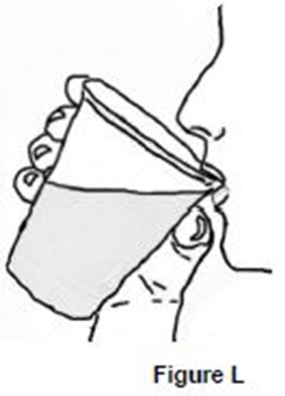 Figure L (Syndros 13)