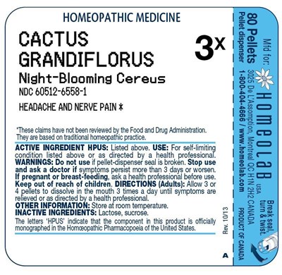hlab_genlabel_cactus_grand.jpg image of tube label - hlab genlabel cactus grand
