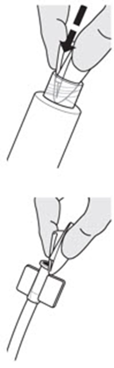 Principal Display Panel (Kit Carton)