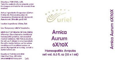 ArnicaAurum6x.10xAmpule.jpg ArnicaAurum6x.10xAmpule - ArnicaAurum6x.10xAmpule