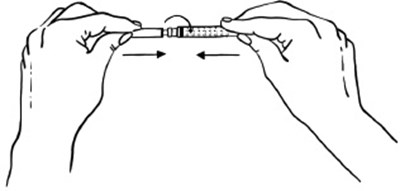 Figure B (Egr00 0001 05)