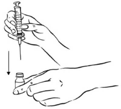 Figure C (Egr00 0001 06)