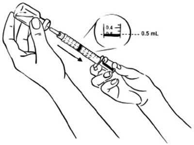 Figure D (Egr00 0001 07)