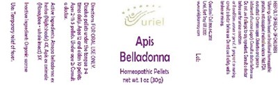 Apisbelladonnapellets
