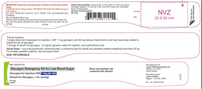 8b4c72aa-10a8-4242-93bf-e067d6d56f9a-09.jpg emergency kit label - 8b4c72aa 10a8 4242 93bf e067d6d56f9a 09