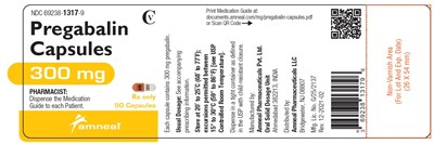 1 - pregabalin capsules 21