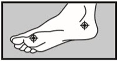 Principal Display Panel - 30 g Tube Carton - terbinafine 02