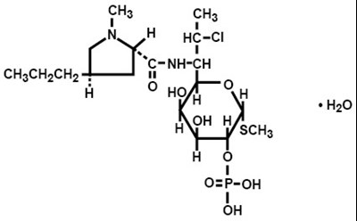 Chemical Structure (Cleocin Ovules 01)