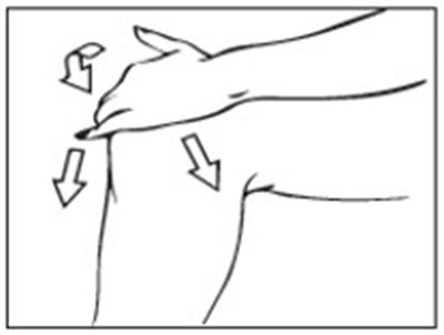 Figure D (Diclofenac 05)