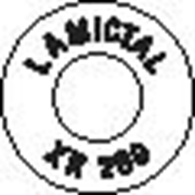 200 mg tablet - lamictalxr spl graphic 07