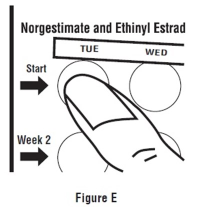 Fig E