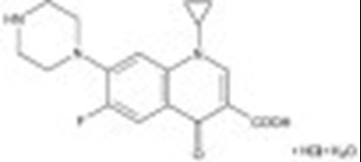 Cip06 0007 01