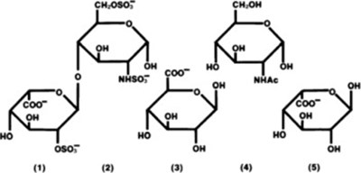 Structure Of Heparin Sodium (Hep Structure)