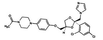 29b04f52-c1d3-41d8-8a1f-e525430e9c47-01.jpg Image - 29b04f52 c1d3 41d8 8a1f e525430e9c47 01