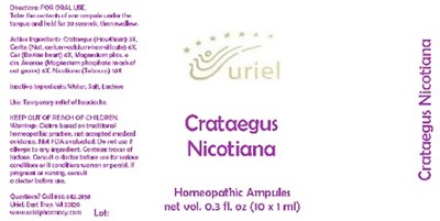 Crataegusnicotianaampules