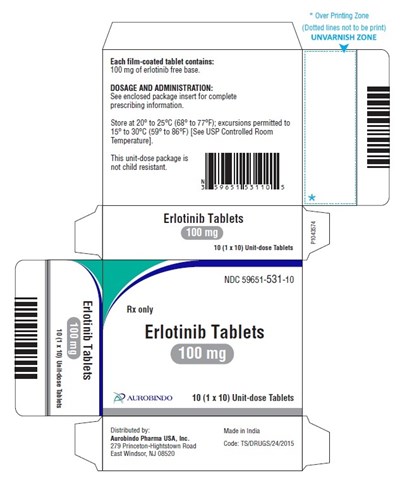 erlotinib-fig8.jpg PACKAGE LABEL-PRINCIPAL DISPLAY PANEL - 100 mg (30 Tablets Carton) - erlotinib fig8