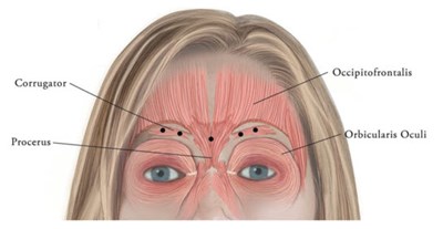 xeomin-07.jpg PRINCIPAL DISPLAY PANEL - 50 units/vial Label - xeomin 07