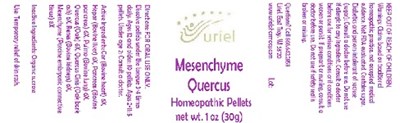 Mesenchymequercuspellets