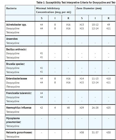 image description - Table2