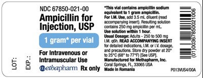 ampi-vial-label-1g - ampi vial label 1g