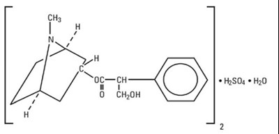 Structure - 7a8a5552 fe21 4d36 8396 b7c99f41b4c4 01