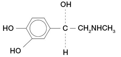 Epinephrine (Epinephrine)