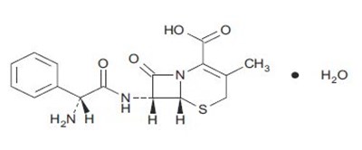 Structural Formula - Structure