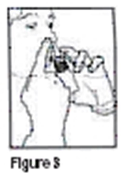 Figure 3: Close One Nostril &amp; Insert The Nasal Tip Into The Other Nostril (illustrated Direction) (D300e34c 7901 4e11 B66c 85d80aed286f 04)
