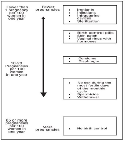 figure-2.jpg figure 2