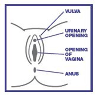 Picture (Image 01)