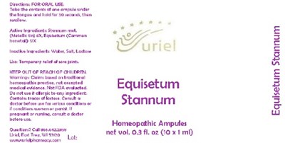 Equisetumstannumampules (Equisetumstannumampules)