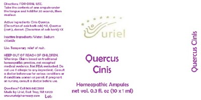 Quercuscinisampules