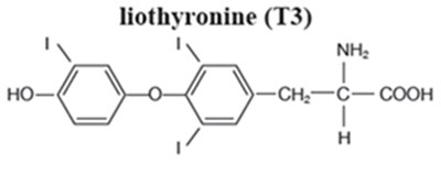 liothyronine - renthyroid 01