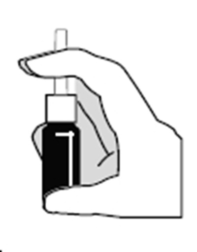 Fig2 (Fig2)