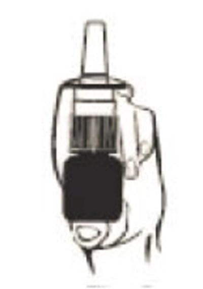 Figure3.jpg (Figure3)