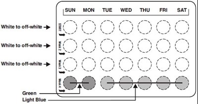 Pick The Day Label Strip (Deso Ethinyl Fig3)