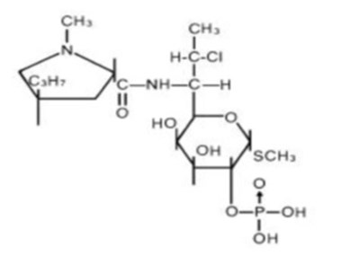 55359ba6-067b-4e97-8c13-ae3f8dbac818-01.jpg structure - 55359ba6 067b 4e97 8c13 ae3f8dbac818 01