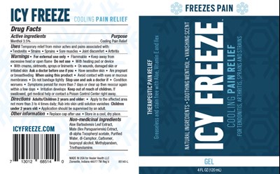 icy02-0000-01.jpg Principal Display Panel - Icy Freeze 3oz Gel Pump - icy02 0000 01