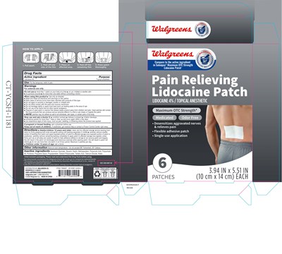 Carton (766697 Painrelievinglidocainepatch Box 1)