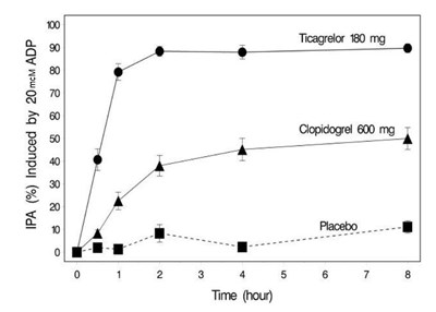 figure5.jpg figure5.jpg - figure5