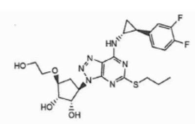 structure.jpg structure.jpg - structure