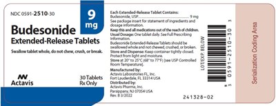 image-2.jpg NDC 0591-2510-30 - image 2