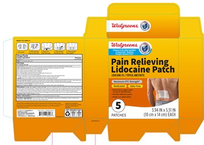Carton (766727 Painrelievinglidocainepatch Box)
