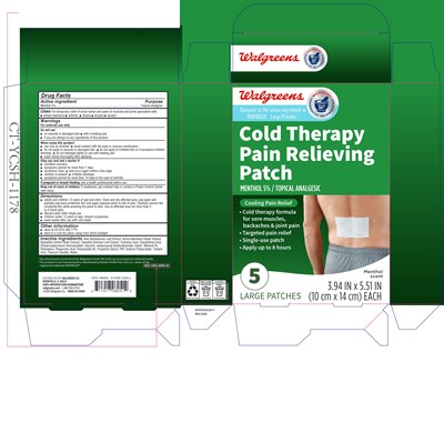 Carton (766669 Coldtherapypainrelievingpatch Box 1)