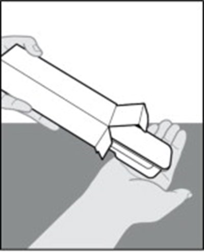Figure D (Ler00 0001 07)
