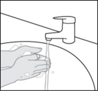 Figure K (Ler00 0001 14)
