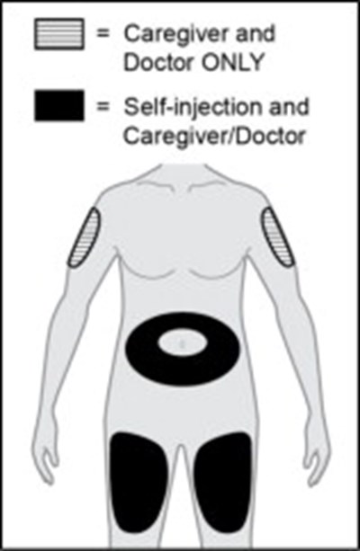 Figure L (Ler00 0001 15)