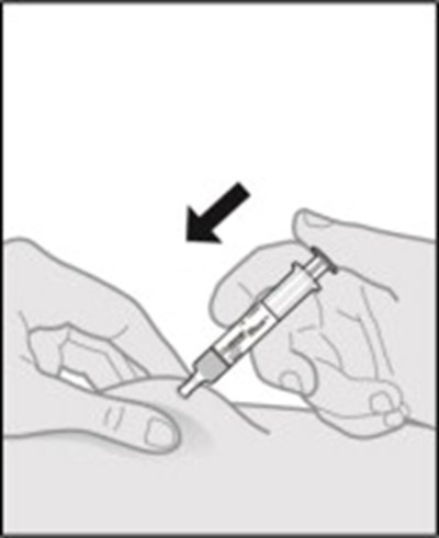 Figure P (Ler00 0001 19)