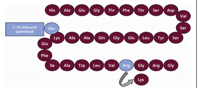 Structural Formula (Lira Fig 1)