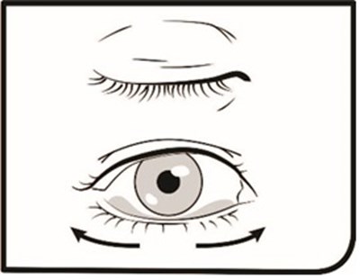 Step 9 (Omlonti Ophthalmic Solution Fig 10)